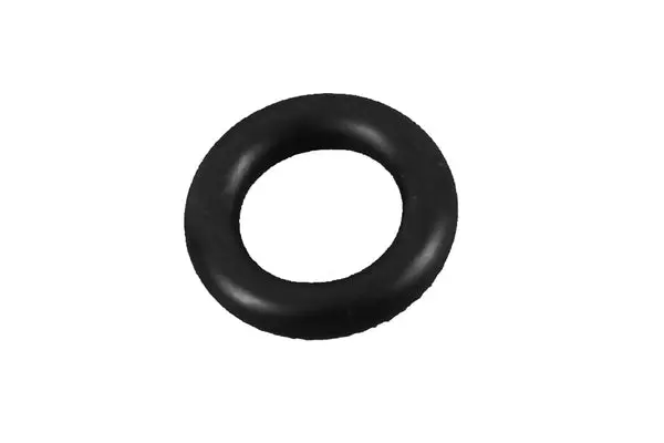 O-ring decalcificatore 113sm01 Universale