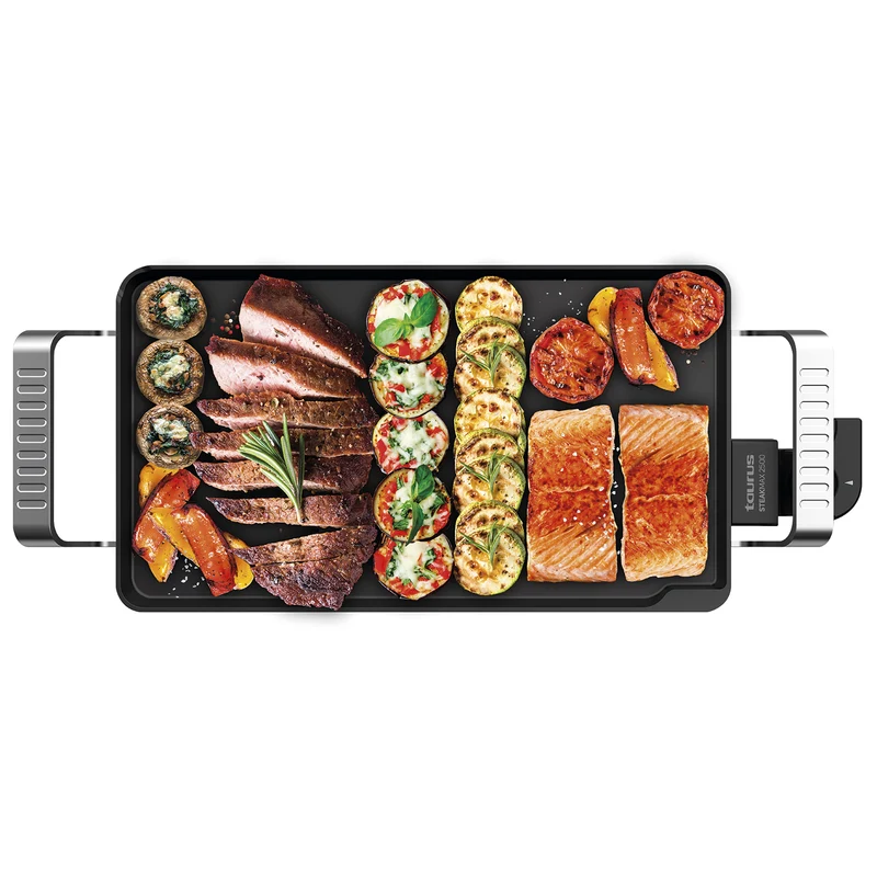 STEAKMAX 2500